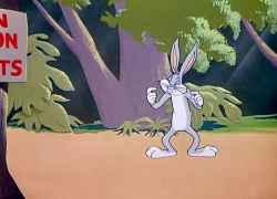 باگز بانی (باگزبانی به زندان میرود)